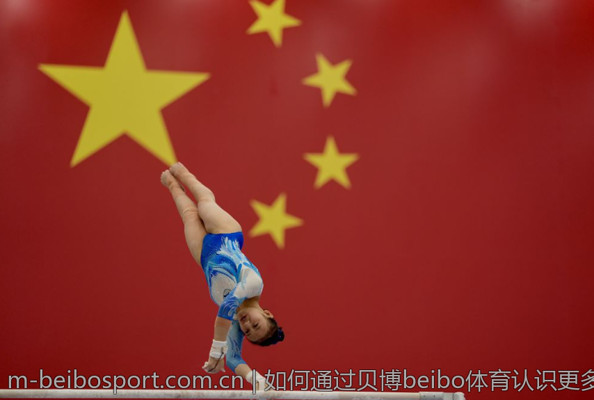 如何通过贝博beibo体育认识更多运动爱好者