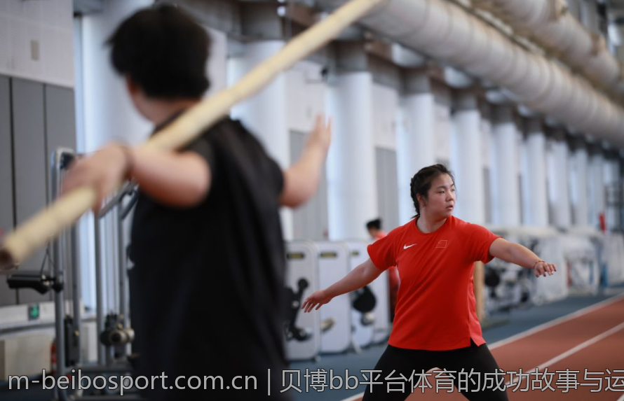 贝博bb平台体育的成功故事与运营模式